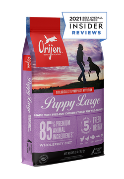 Orijen - Large Breed Puppy - Dry Dog Food